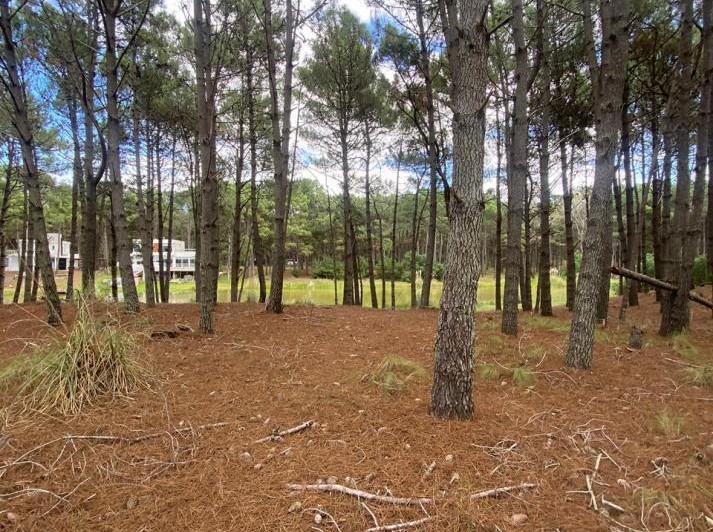 Terreno · 832m²