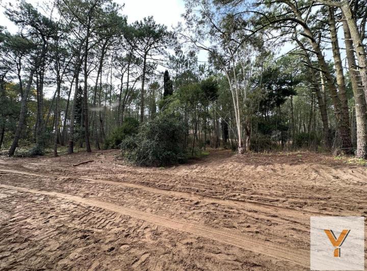 Terreno · 1200m²