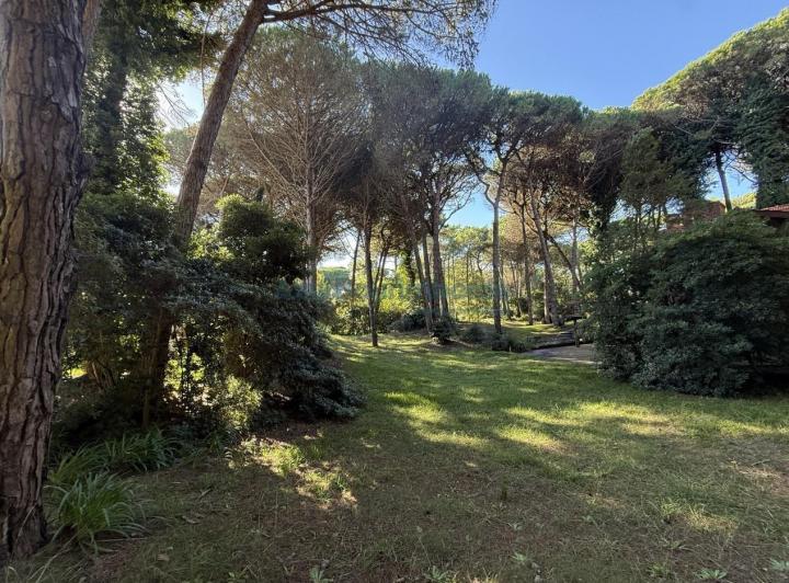 Terreno · 955m²