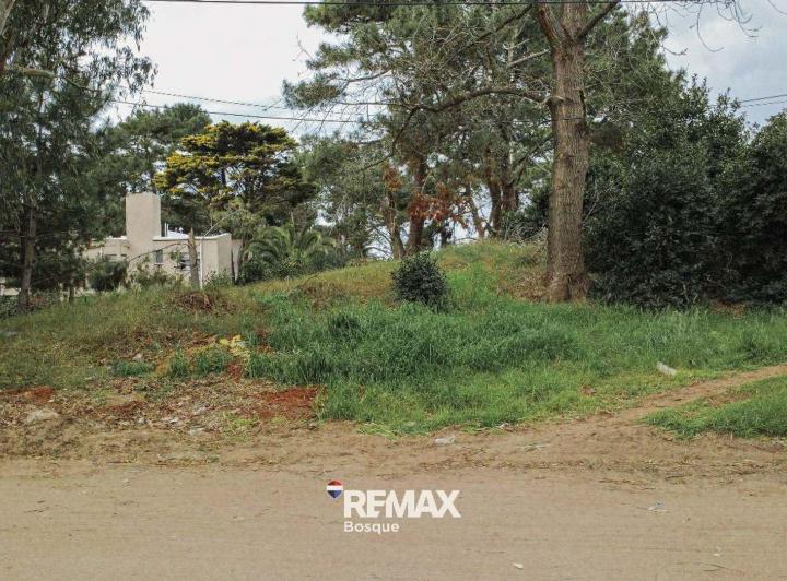 Terreno · 450m²