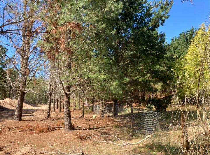 Terreno · 998m²