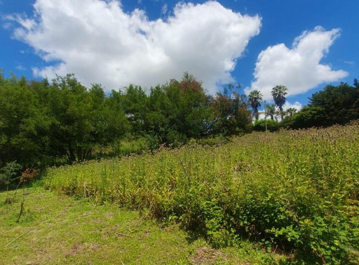 Terreno · 700m²