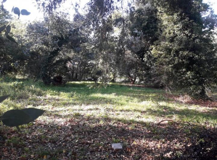 Terreno · 603m²