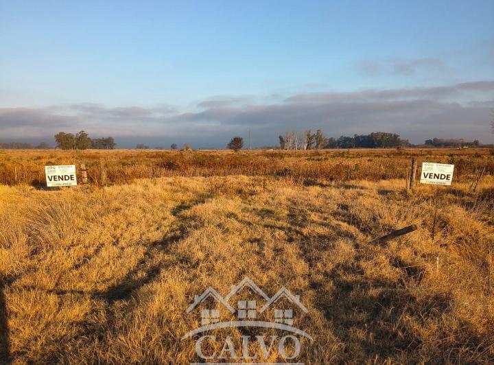 Campo · 35ha