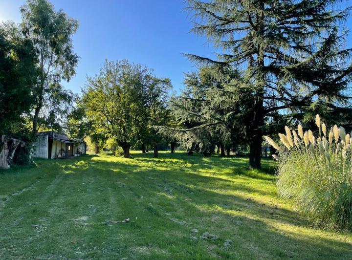 Casa · 5244m²