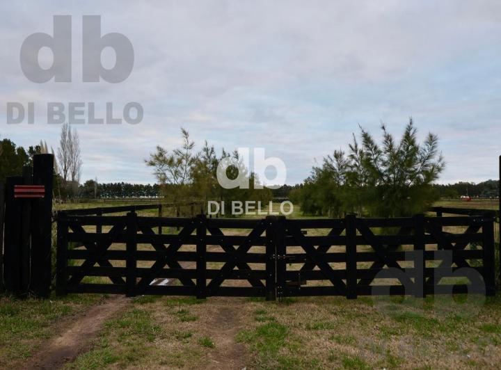 PH · 42616m²