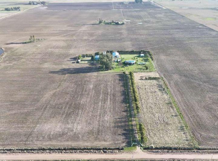 Campo · 41ha