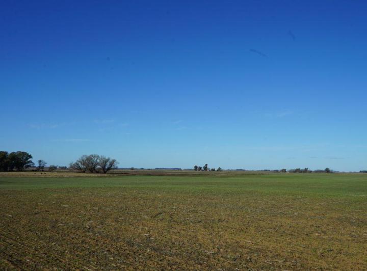 Campo · 110m²