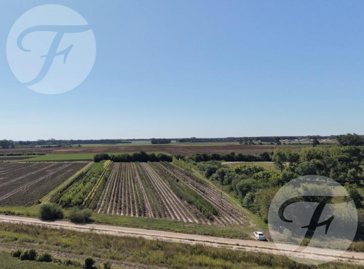 Terreno · 20141m²