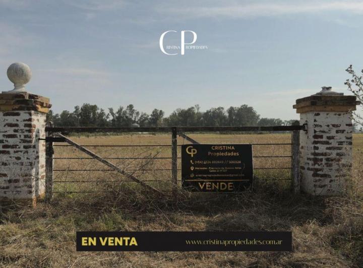 Campo · 18ha
