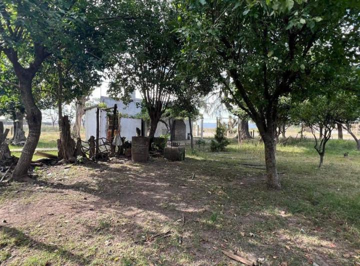 Campo · 46000m²