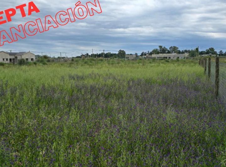 Terreno · 2022m²
