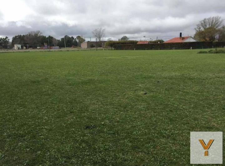 Terreno · 3600m²