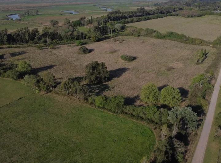 Campo · 53187m²