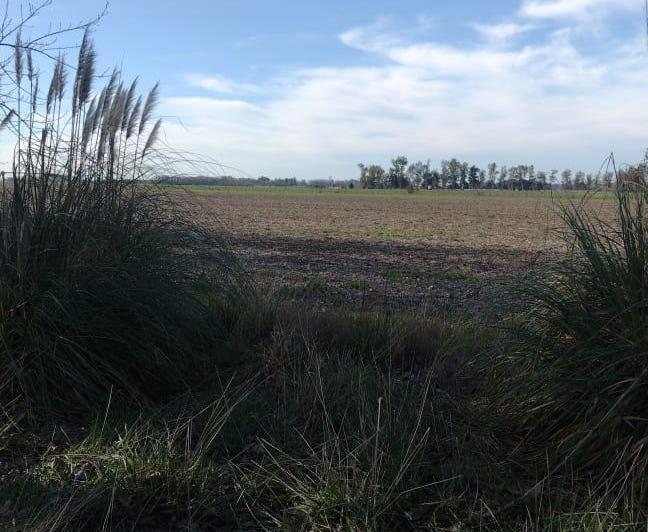 Campo · 940000m²