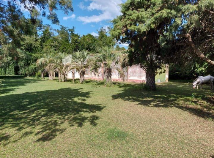 Campo · 120000m²