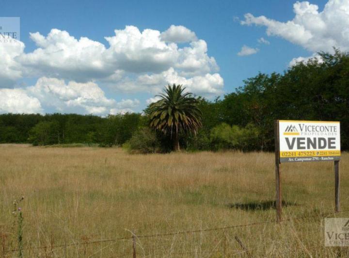 Campo · 6ha