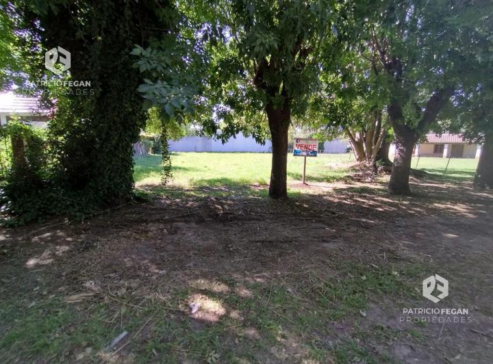 Terreno · 345m²