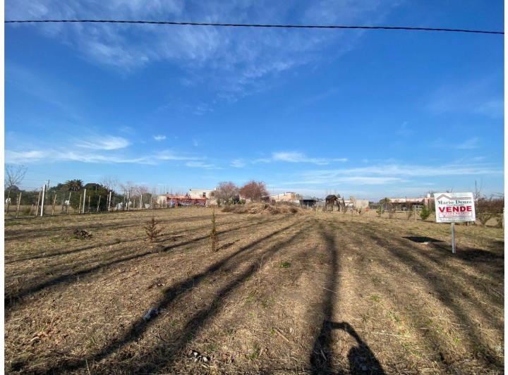 Terreno · 1000m²