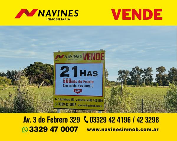 Campo
