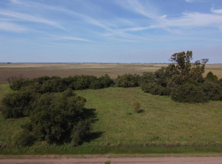 Campo · 62ha