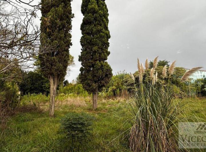 Terreno · 594m²