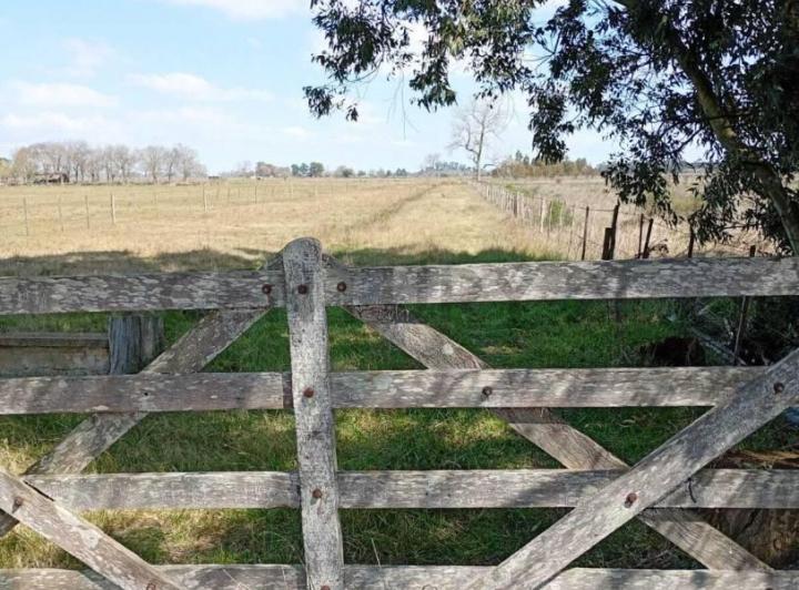Campo · 2m²