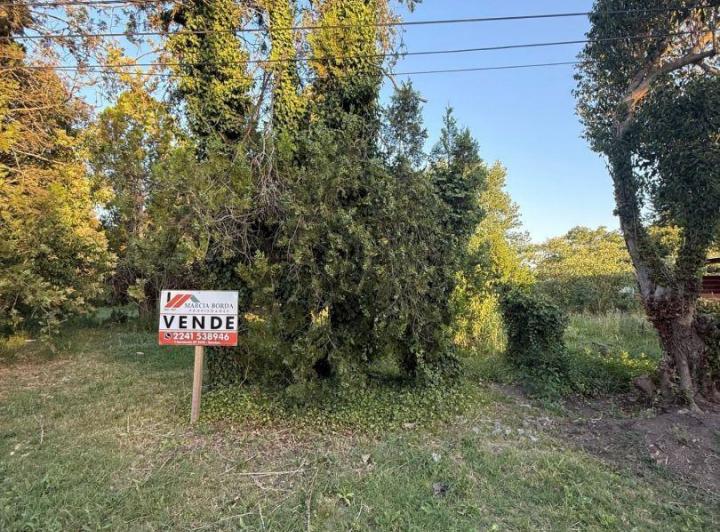 Terreno