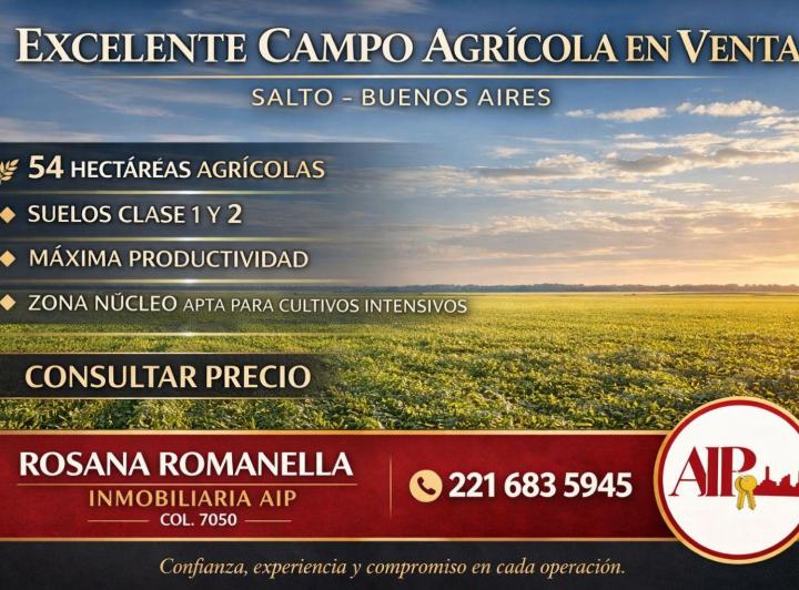Campo