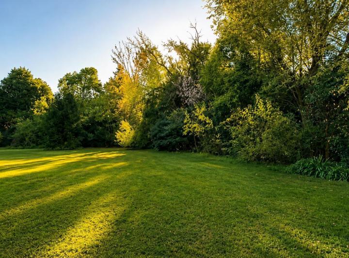 Terreno · 1824m²