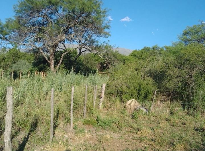Terreno · 1900m²