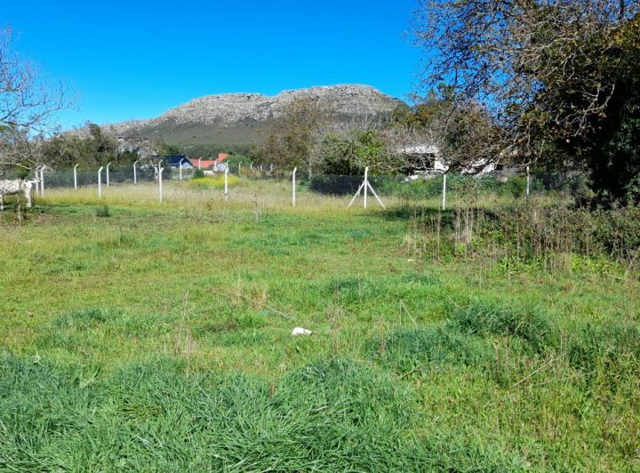 Terreno