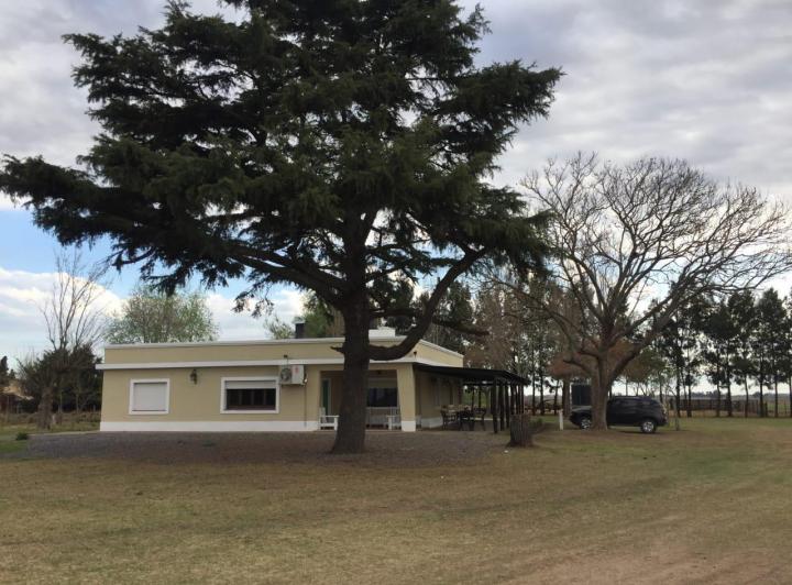 Campo · 400m²