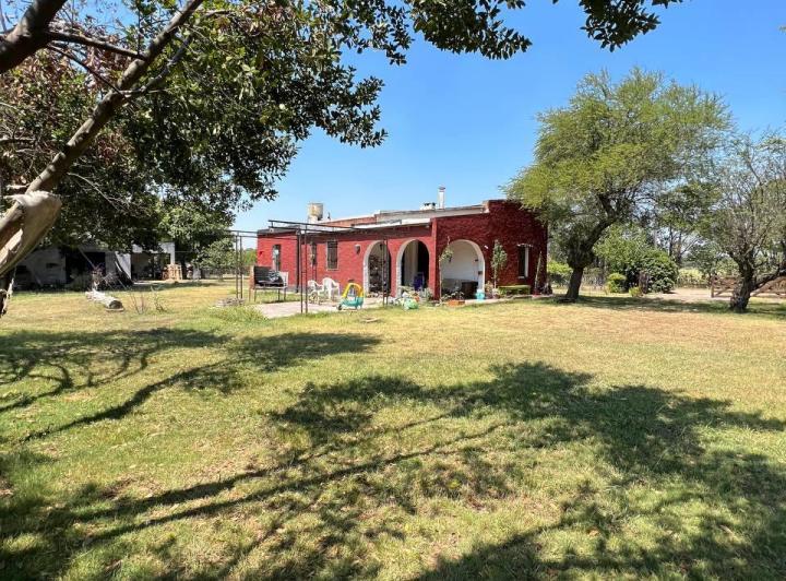 Campo · 1ha