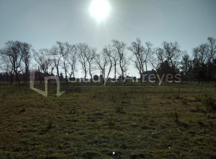 Terreno · 1420m²