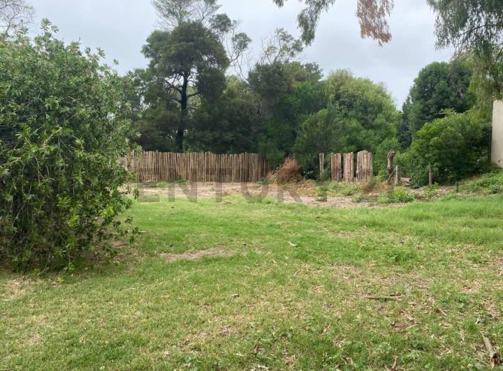 Terreno · 300m²