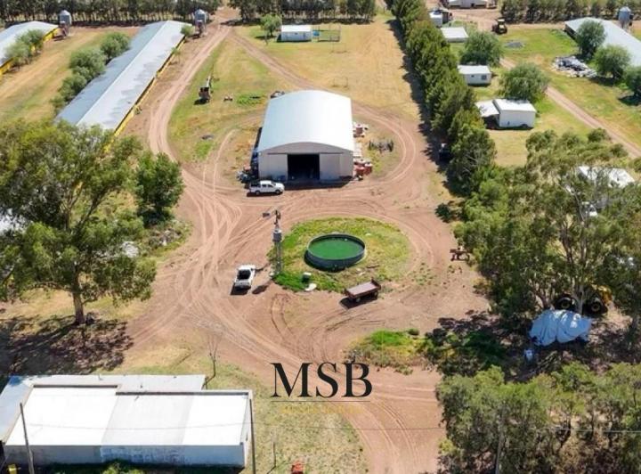 Campo · 1132m²