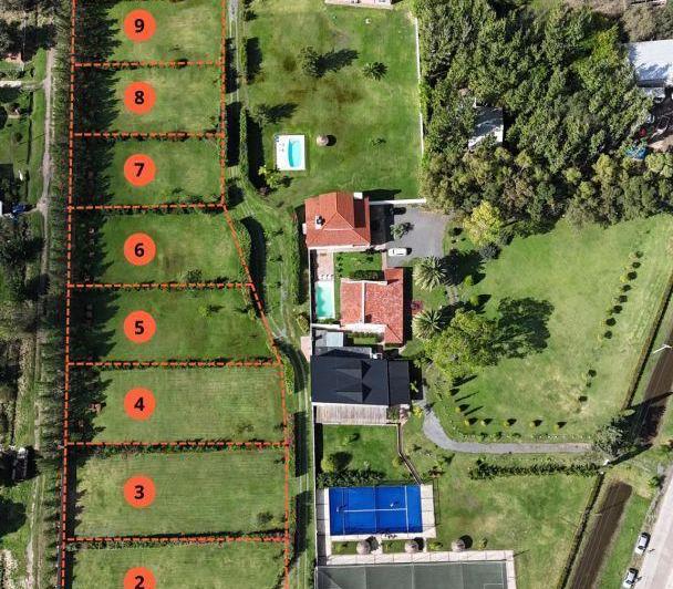 Terreno