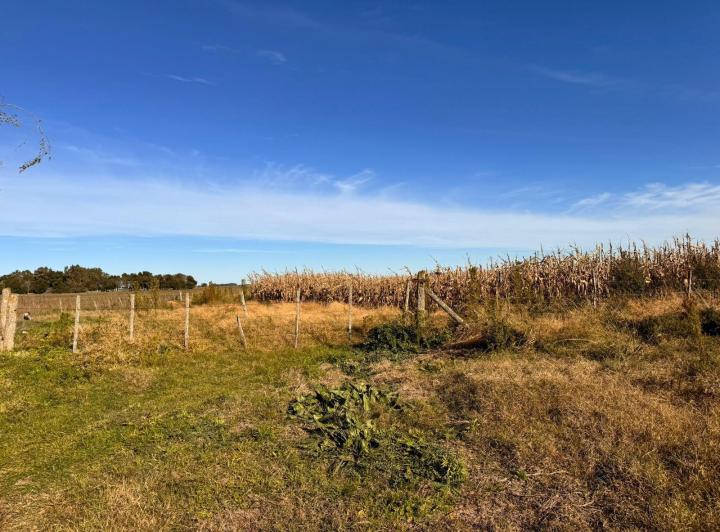 Campo · 108m²