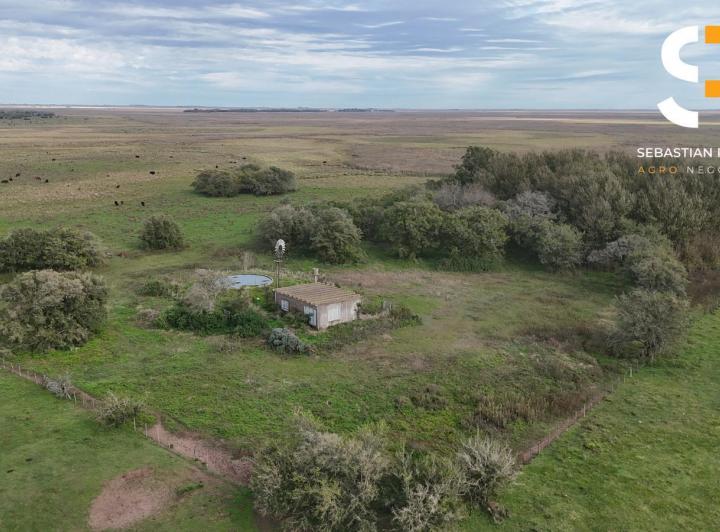 Campo · 2620000m² · 1 Ambiente
