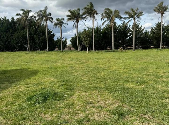 Campo · 150ha