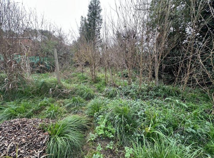 Terreno · 300m²