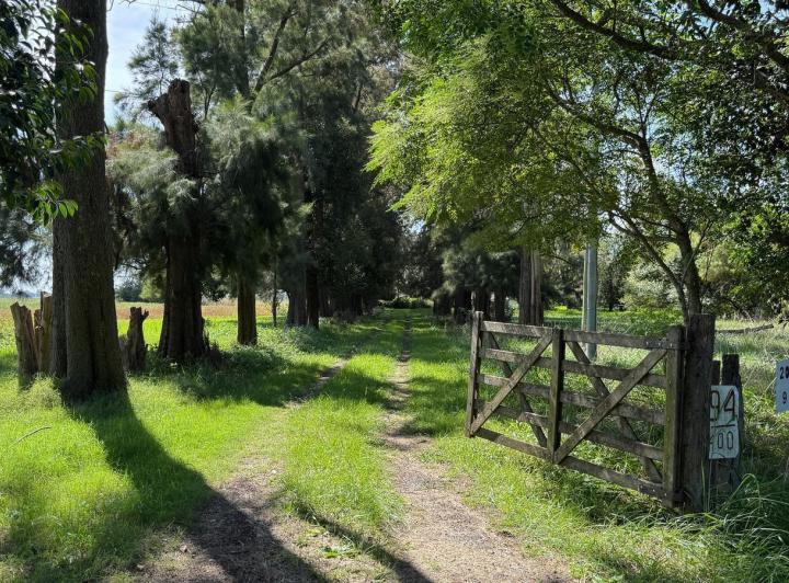 Campo · 110ha · 7 Ambientes