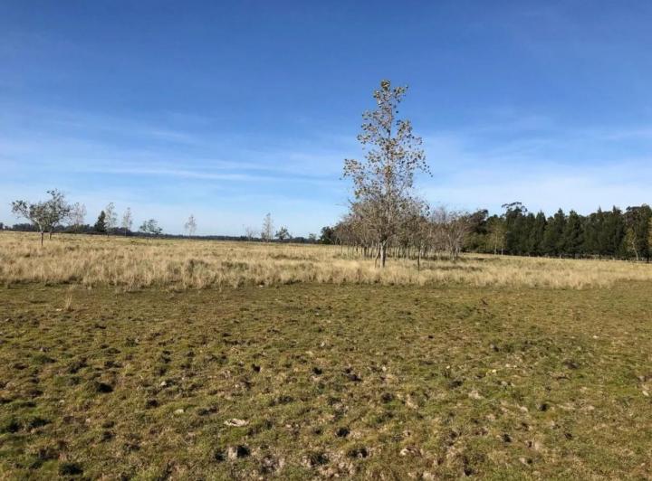 Terreno · 125000m²