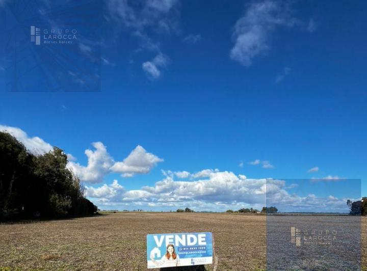 Campo · 60000m²