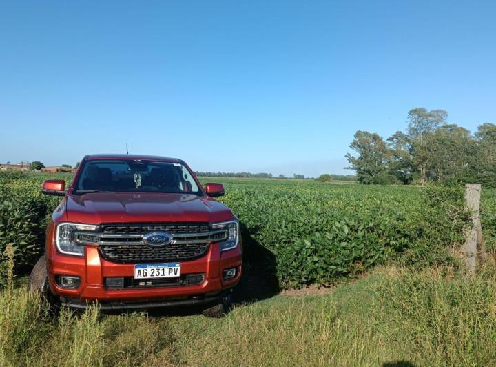 Campo · 1m²