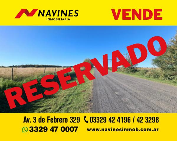 Campo · 55000m²