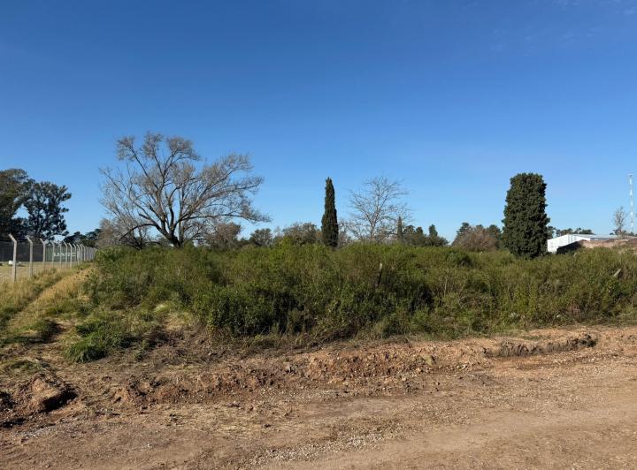 Terreno · 4288m²