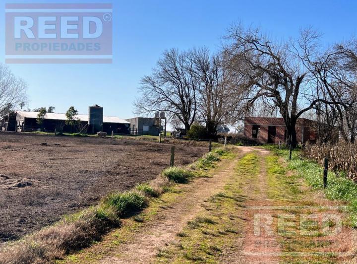 Campo · 30000m²