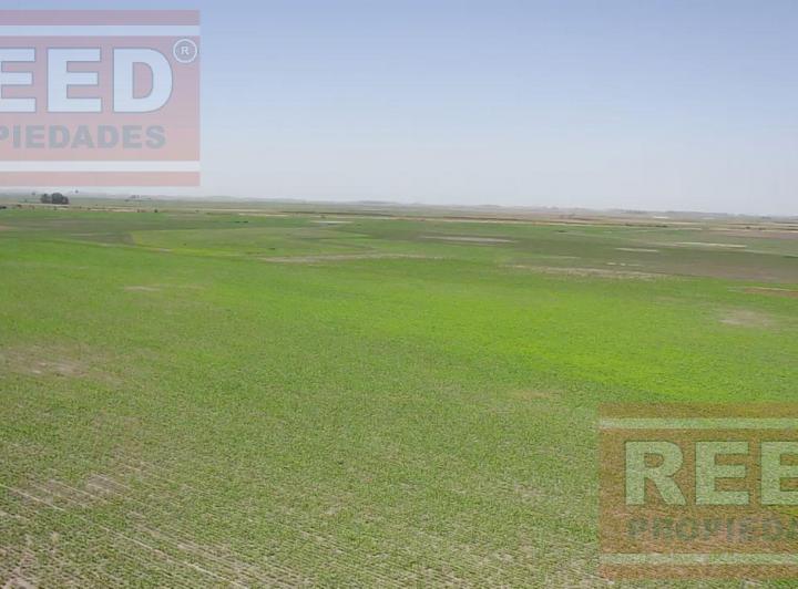 Campo · 2300000m²